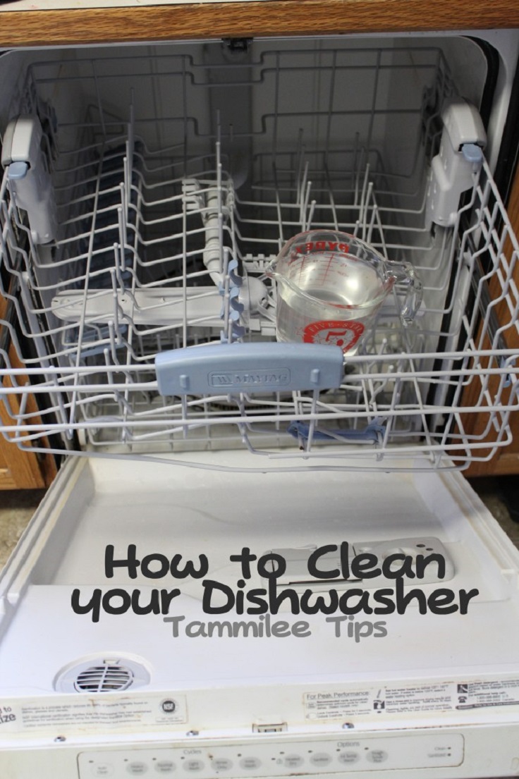 5-Quick-Dishwasher-Cleaning