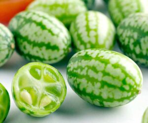 Top 10 Tips on How to Grow Cucamelons (Step by Step)