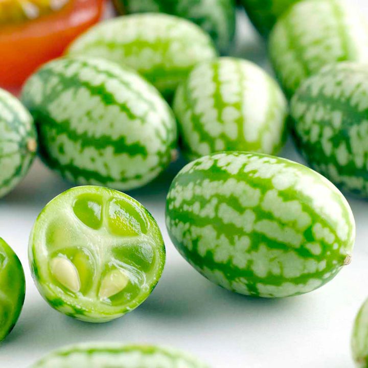 TOP 10 Tips on How to Grow (and Eat) Your Own Cucamelons | Top Inspired