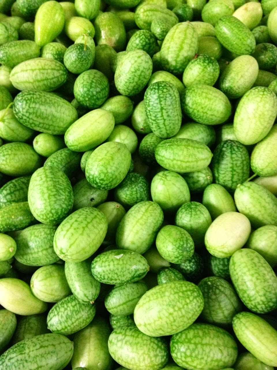 Cucamelons-taste-of-cucumbers-and-lime