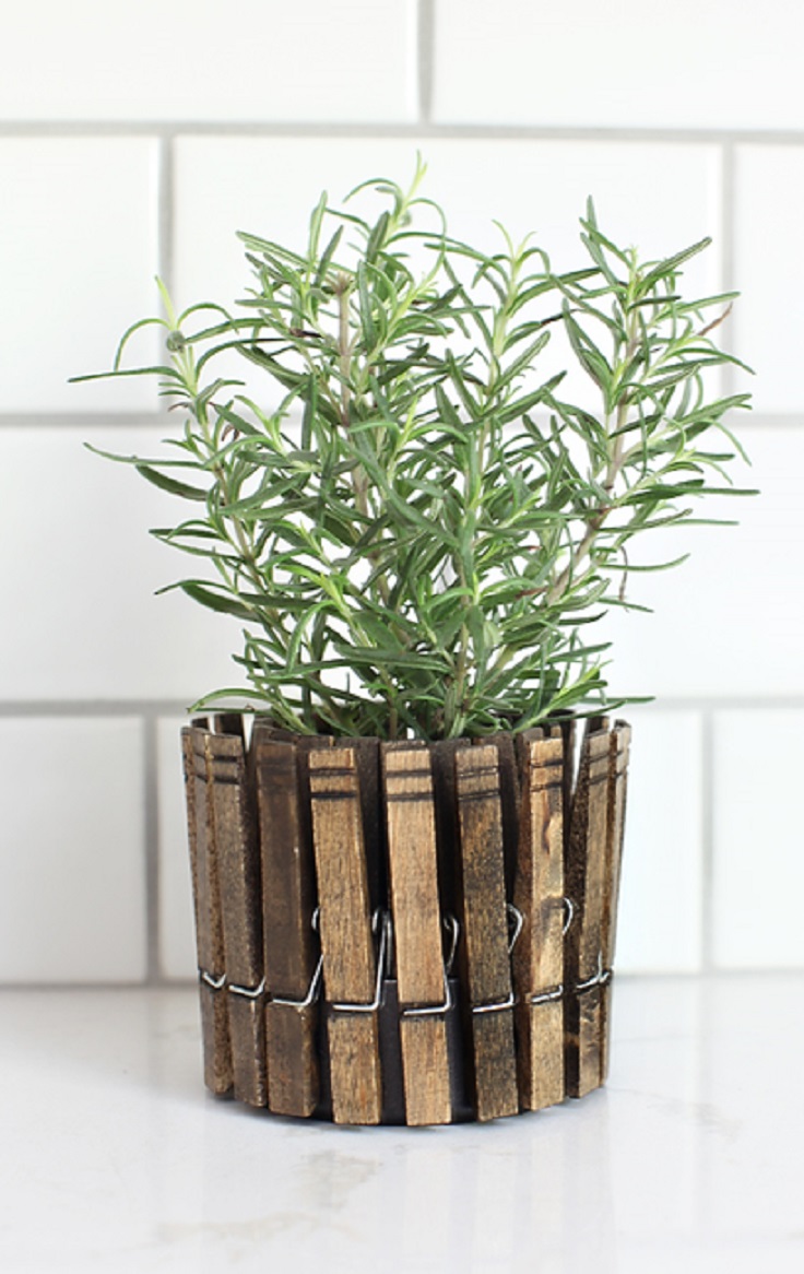 DIY-Clothespin-Herb-Planters