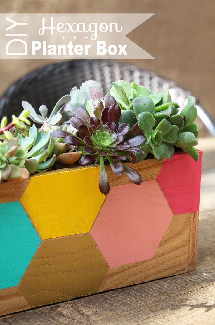 DIY-Hexagon-Succulent-Planter-Box