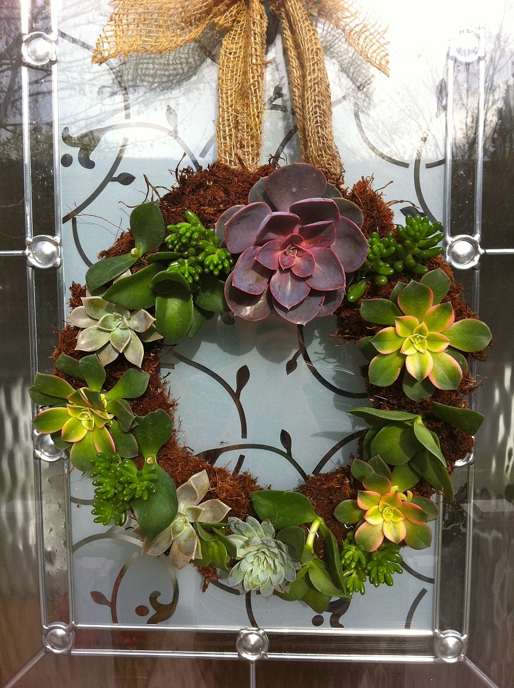 DIY-Living-Succulent-Wreath