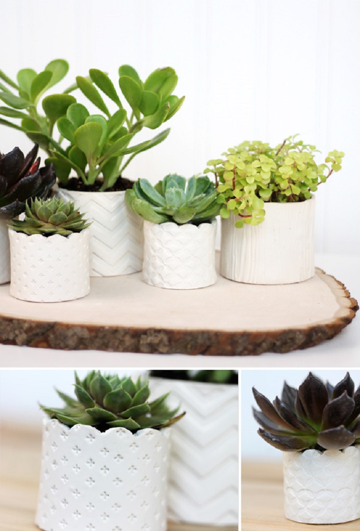 DIY-Stamped-Clay-Succulent-Pots