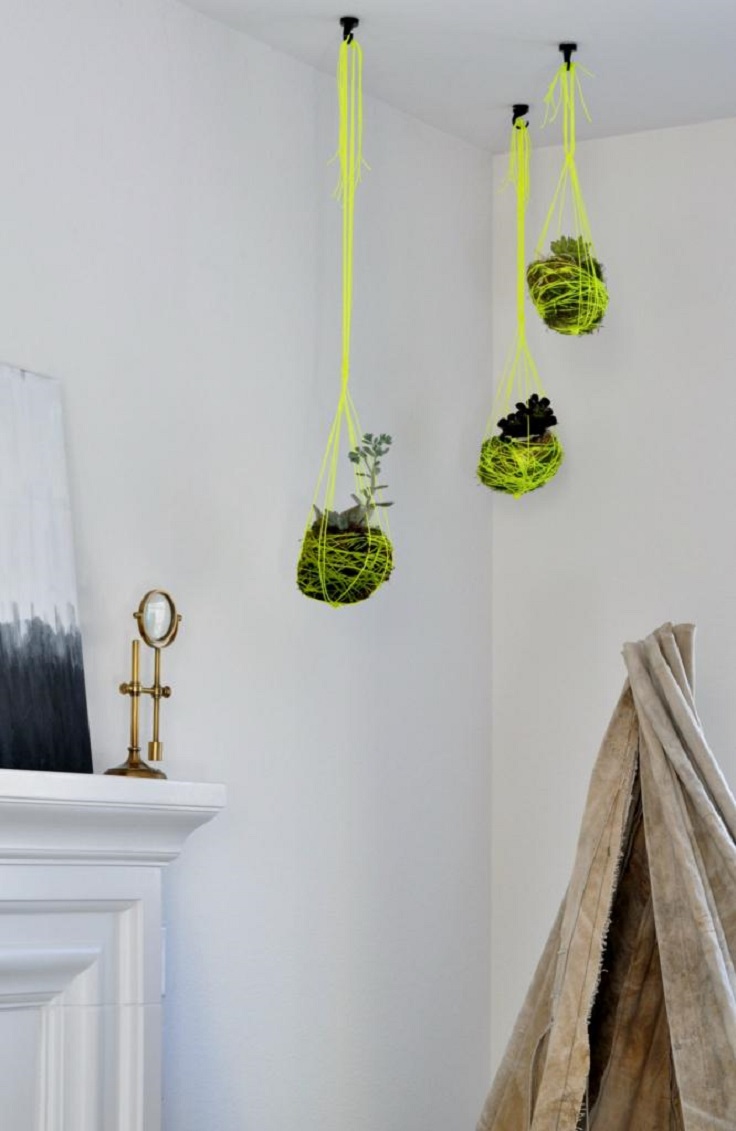 DIY-Succulent-Hanging-Gardens