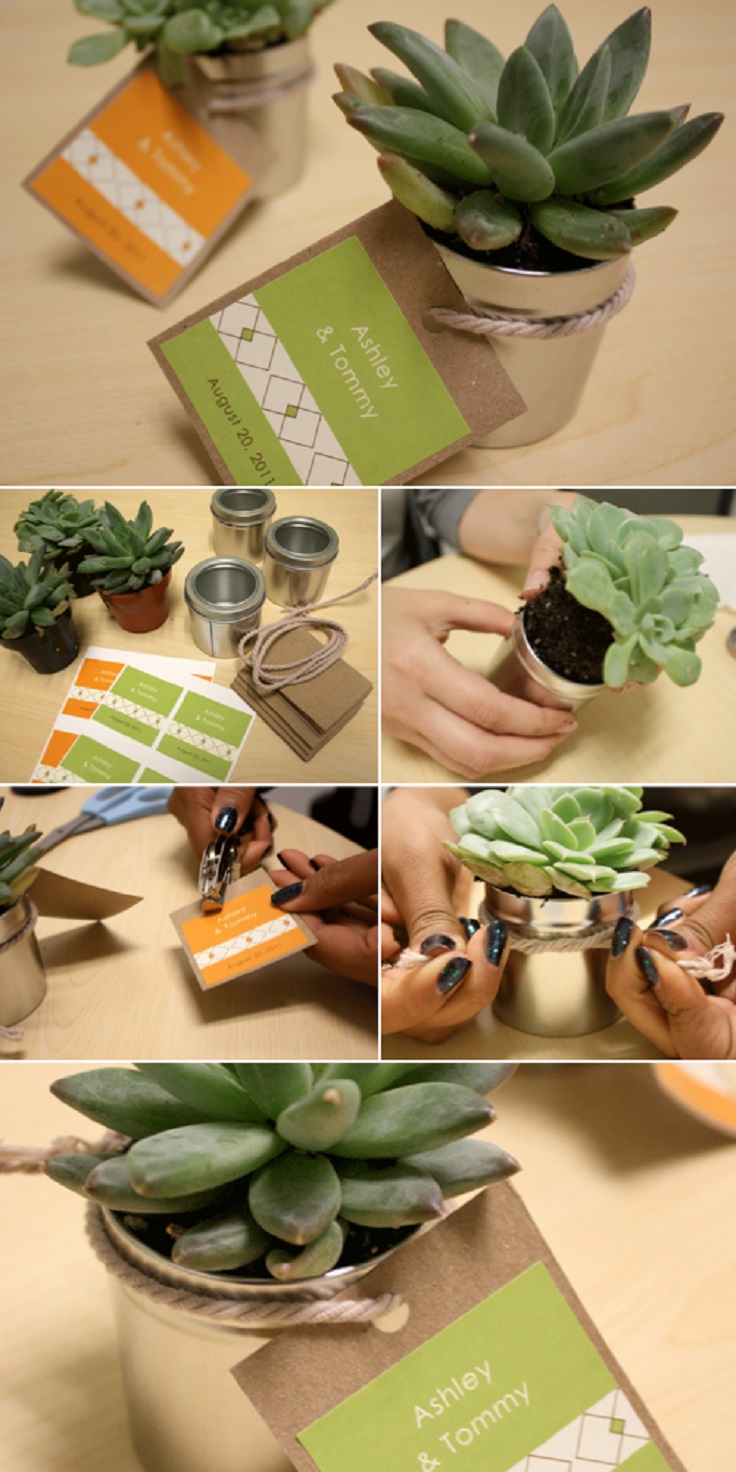 DIY-Succulent-Wedding-Favors