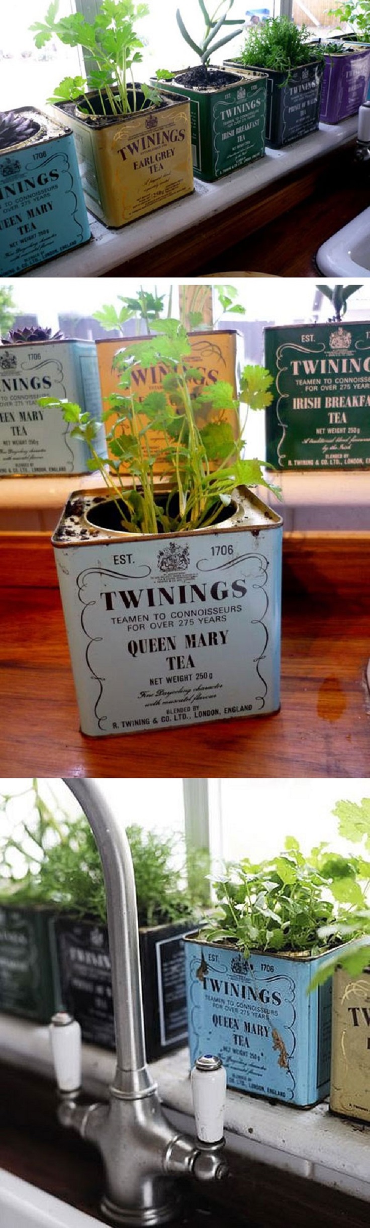 DIY-Twinings-Tea-Herb-Containers