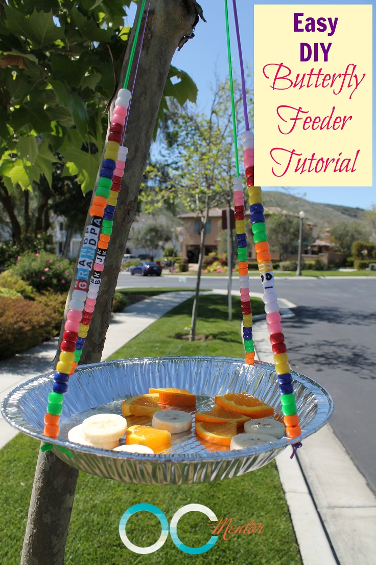 Easy-DIY-Butterfly-Feeder