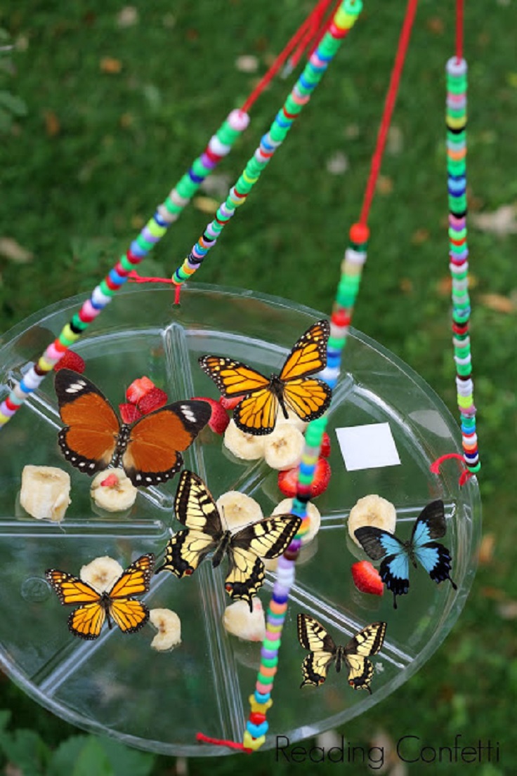 Easy-Kid-Made-Butterfly-Feeder