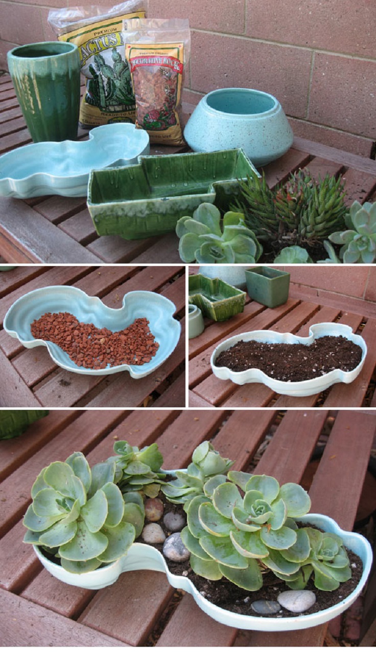 Eco-friendly-Succulents-Centerpiece