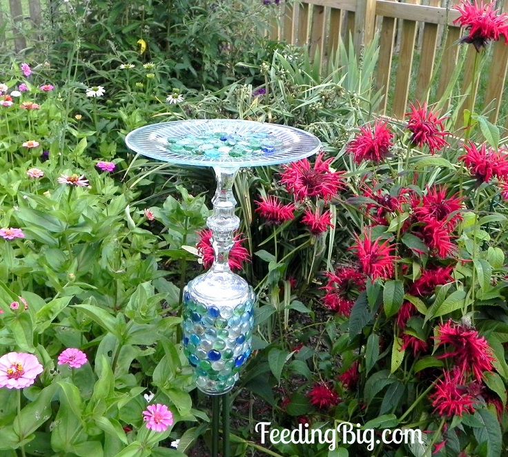 Glass-Plate-Butterfly-Feeder