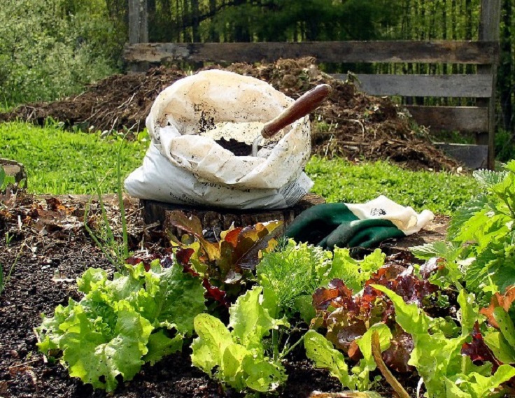 How-to-Use-The-Compost-in-Your-Garden