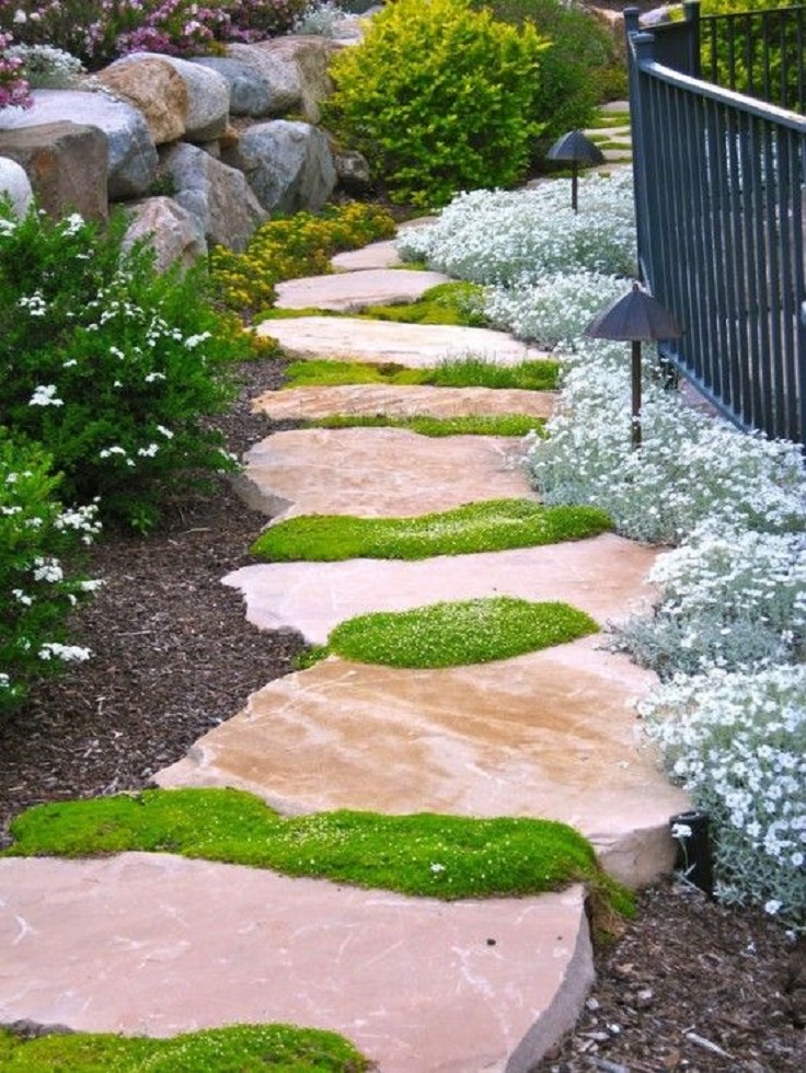 Top 10 Plants and Ground Cover for Your Paths and Walkways