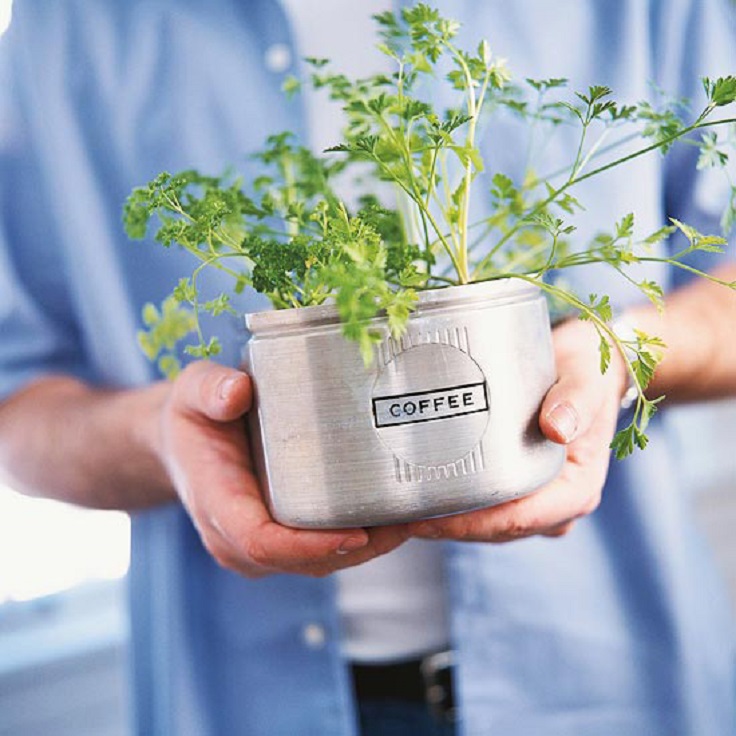 Kitchen-Canisters-as-Herb-Planters