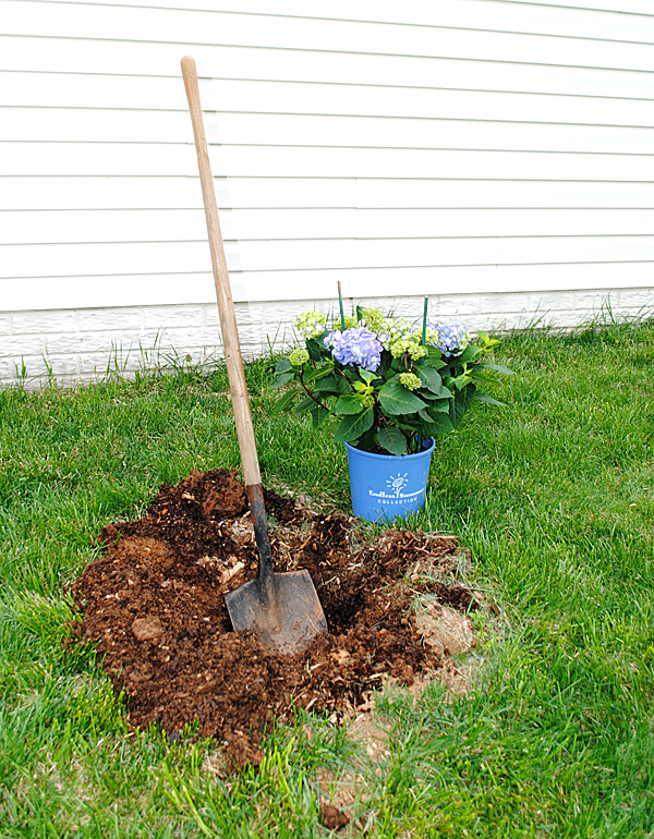 Planting