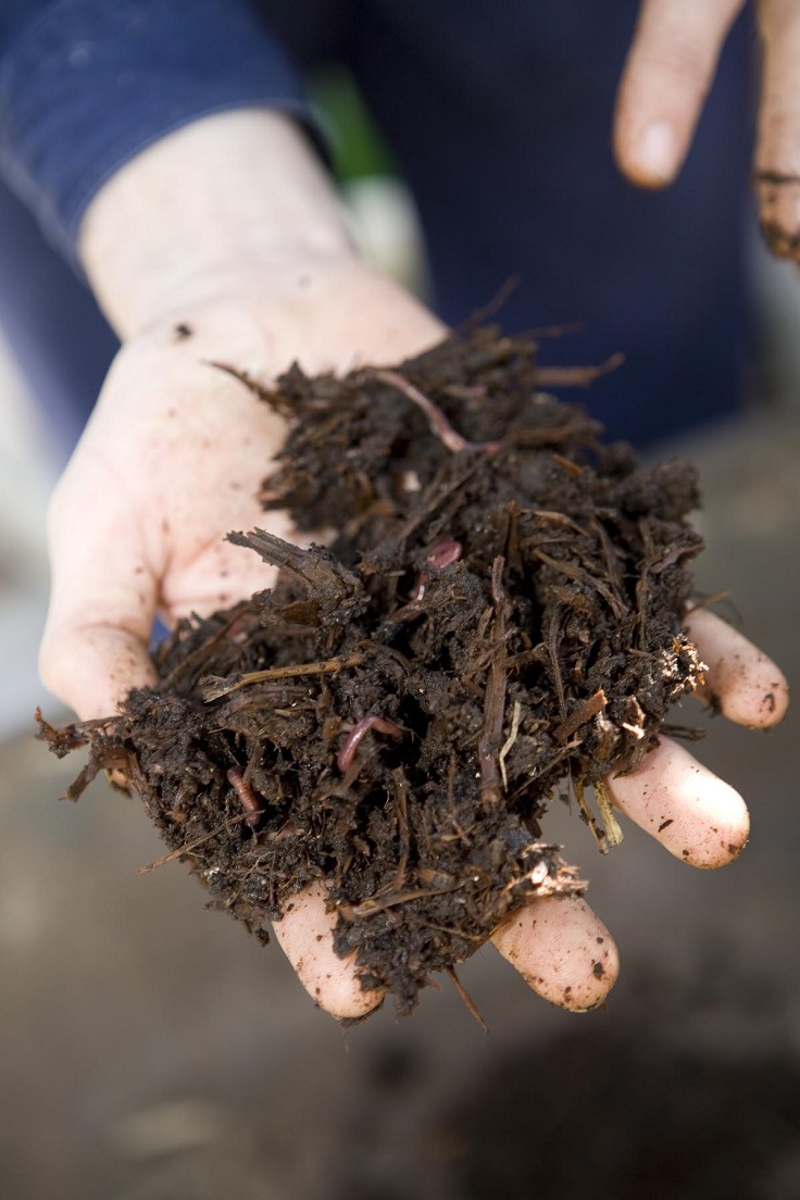 When-is-Your-Compost-Ready