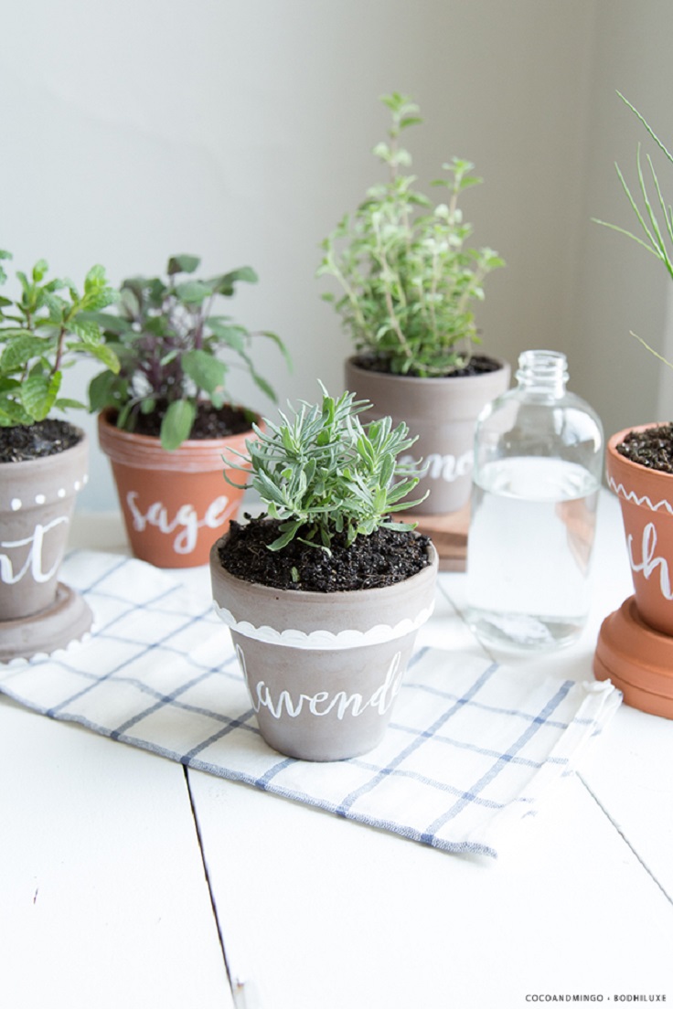 cute-diy-hetb-planter-pots