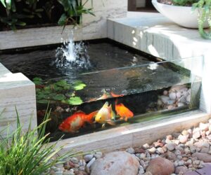 Top 10 Garden Aquarium and Pond Ideas to Decorate Your Backyard