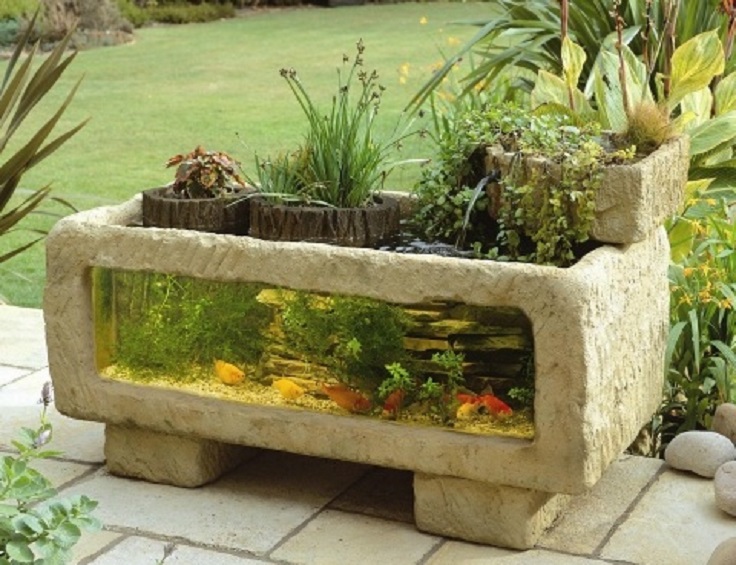 7-Stone-Aquarium