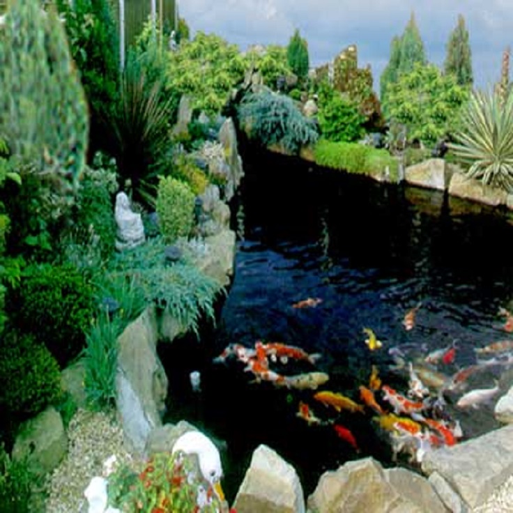 9-Garden-Pond-Aquarium