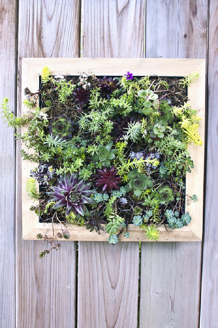 TOP 10 DIY Outdoor Succulent Garden Ideas - Top Inspired