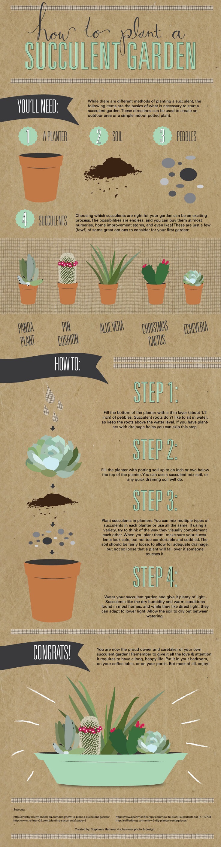 How-to-Plant-a-Succulent-Garden-Infographic