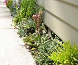 Top 10 DIY Outdoor Succulent Garden Ideas