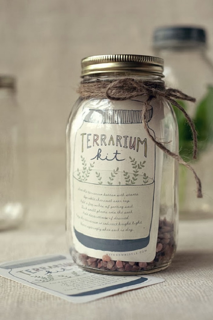 Terrarium-kit