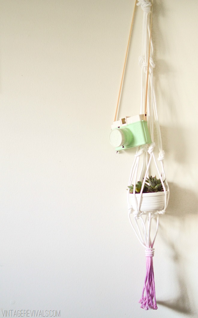 Orchid-Dyed-Macrame-Planter