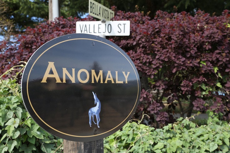 Anomaly-Winery-2