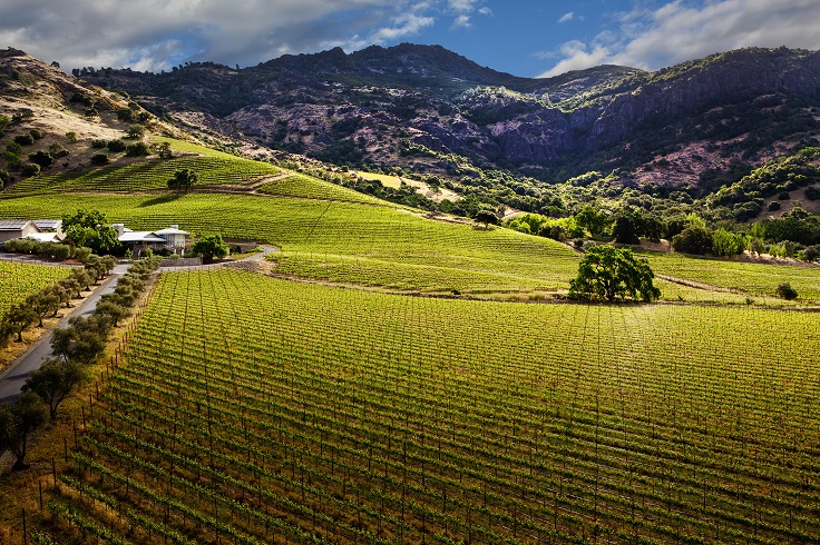 Top 10 Best Vineyards In Napa Valley To Visit | Top Inspired