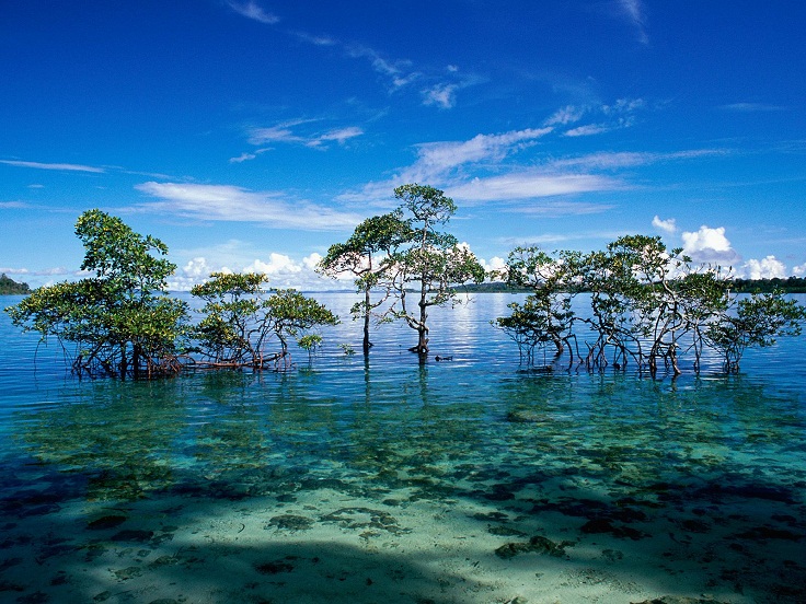 Havelock_Island__Andaman_and_Nicobar_Islands__India