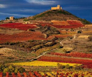 Top 10 Wine Tasting Destinations in Europe