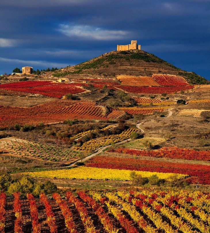 TOP 10 Wine Tasting Destinations in Europe | Top Inspired