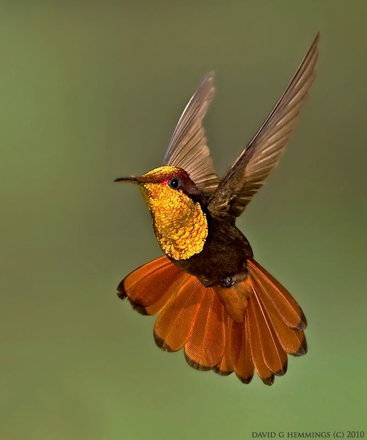 TOP 10 Best Birdwatching Spots around the World | Top Inspired
