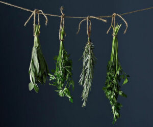 Top 10 Inventive Ways to Preserve Herbs