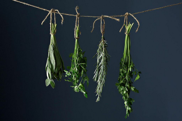 TOP 10 Inventive Ways to Preserve Herbs | Top Inspired