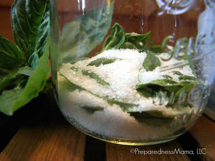 topsalted-herbs-layered-basil-leaf