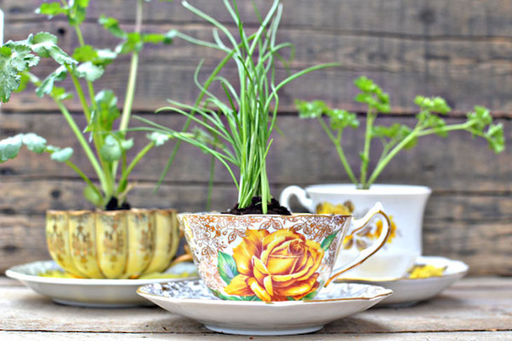 topteacup-herb-favors-picture