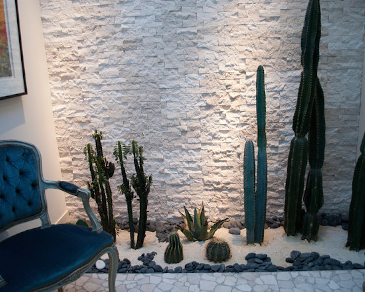 topFabulous-Landscape-with-Cactus-Reston-Townhouse-Renovation-Indoor-Garden