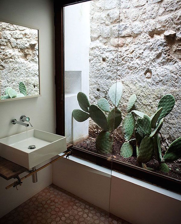 topindoor-cactus-bathroom-ideas