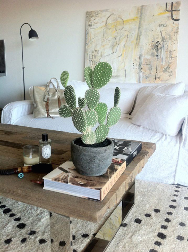 topminimalist-cactus-indoor-planters