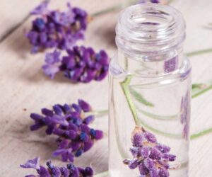 Top 10 DIY Beauty Products with Lavender Essential Oil