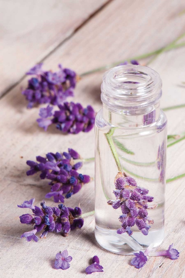 Top 10 DIY Beauty Products with Lavender Essential Oil | Top Inspired