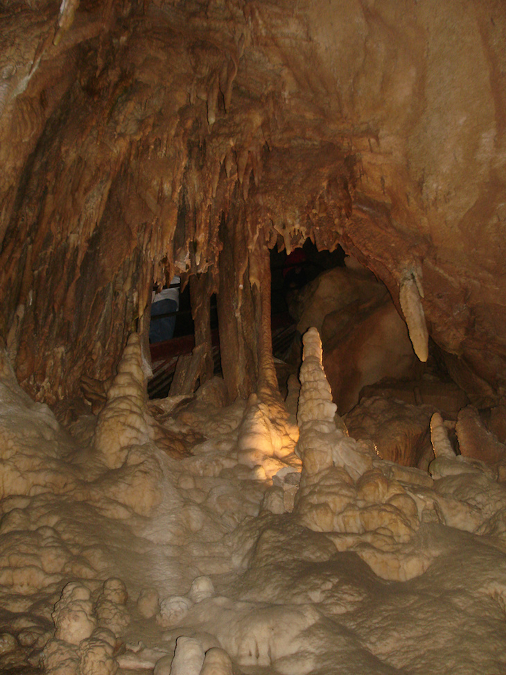 topMammoth_Cave_National_Park_008