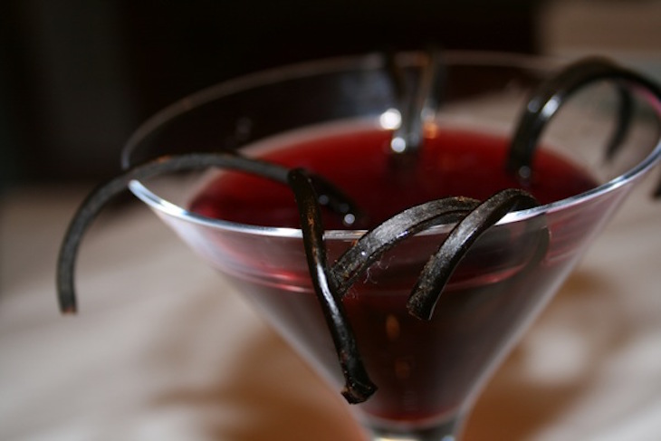 topblackwidow-halloweencocktail-via-janelle-talkoftomatoes.com_