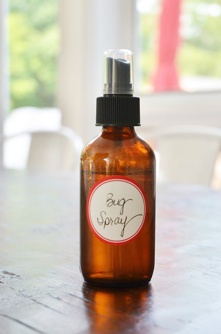 TOP 10 Homemade Natural Bug Repellents | Top Inspired