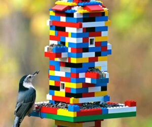 Top 10 DIY Bird Feeders To Make With Kids