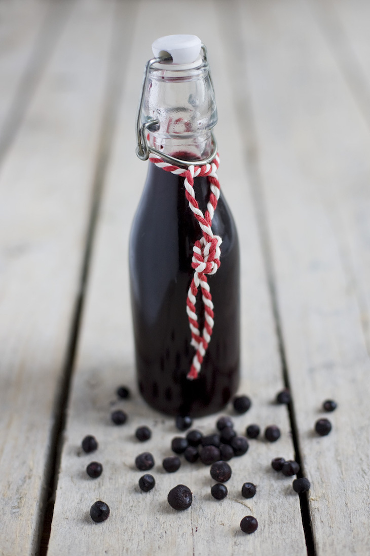 topBlueberry_glogg_2