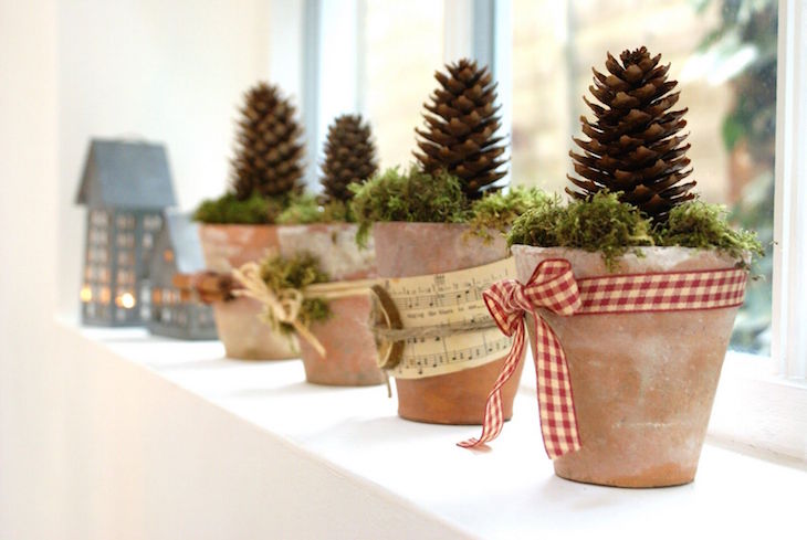 topplant-pinecone-window-display